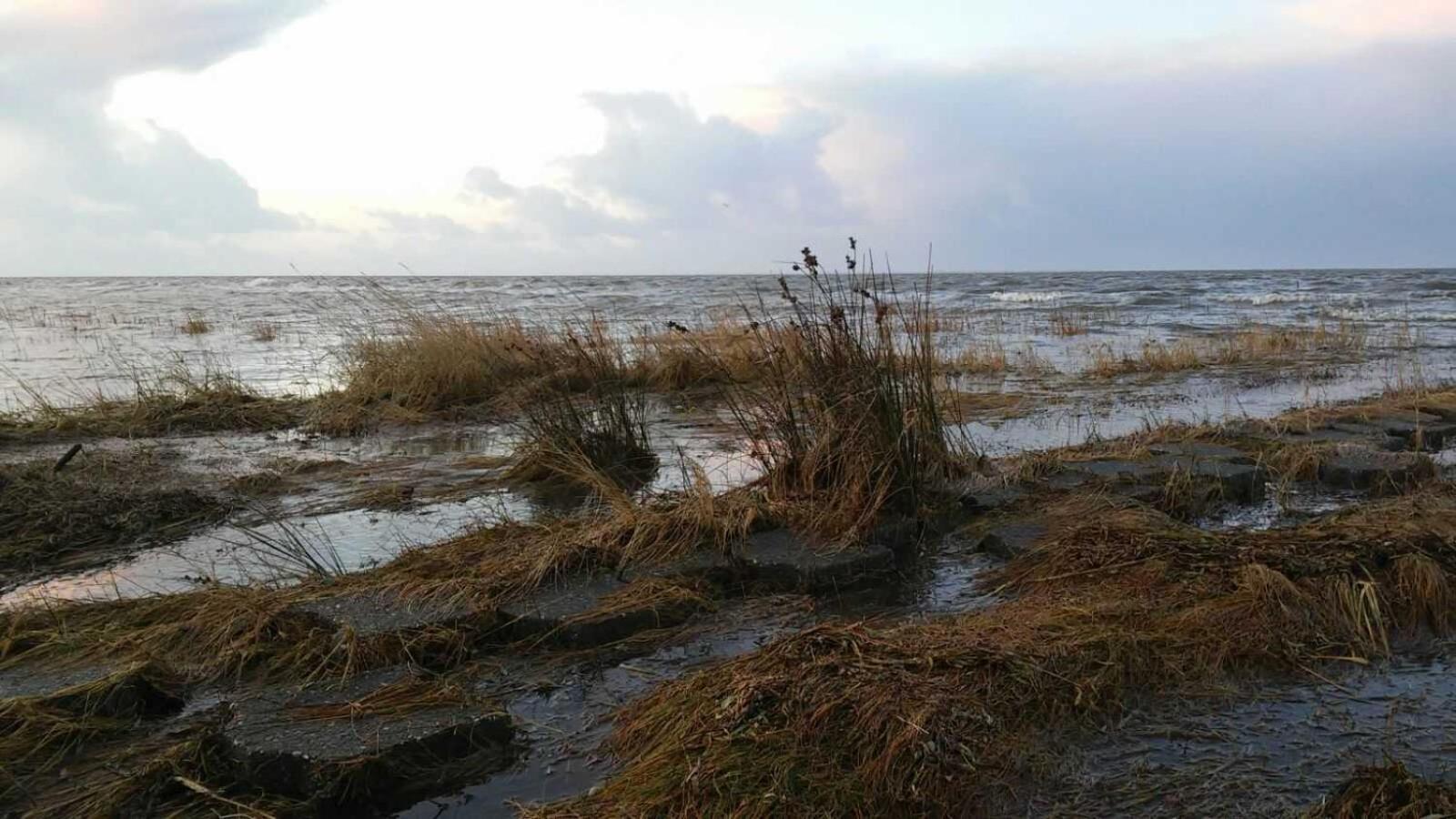 カロリーネンジール Gulfhof Friedrichsgrodenヴィラ エクステリア 写真