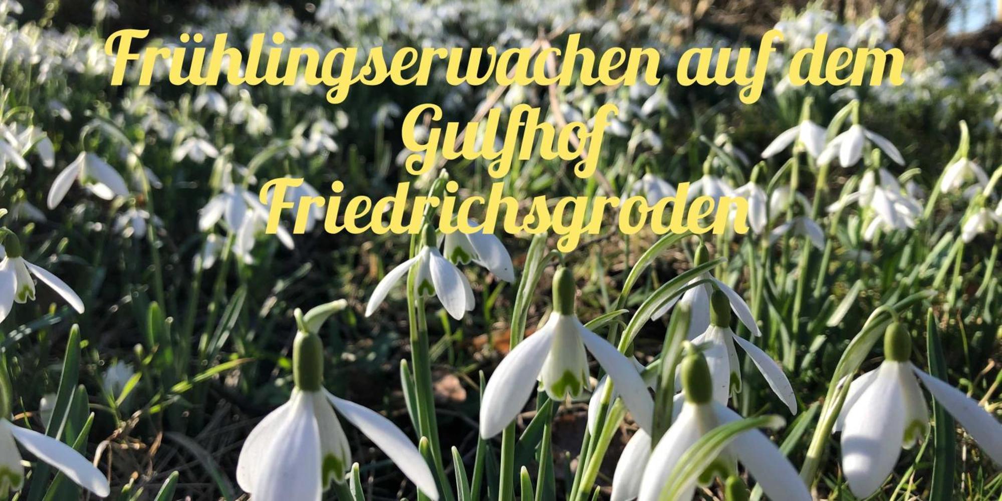 カロリーネンジール Gulfhof Friedrichsgrodenヴィラ エクステリア 写真