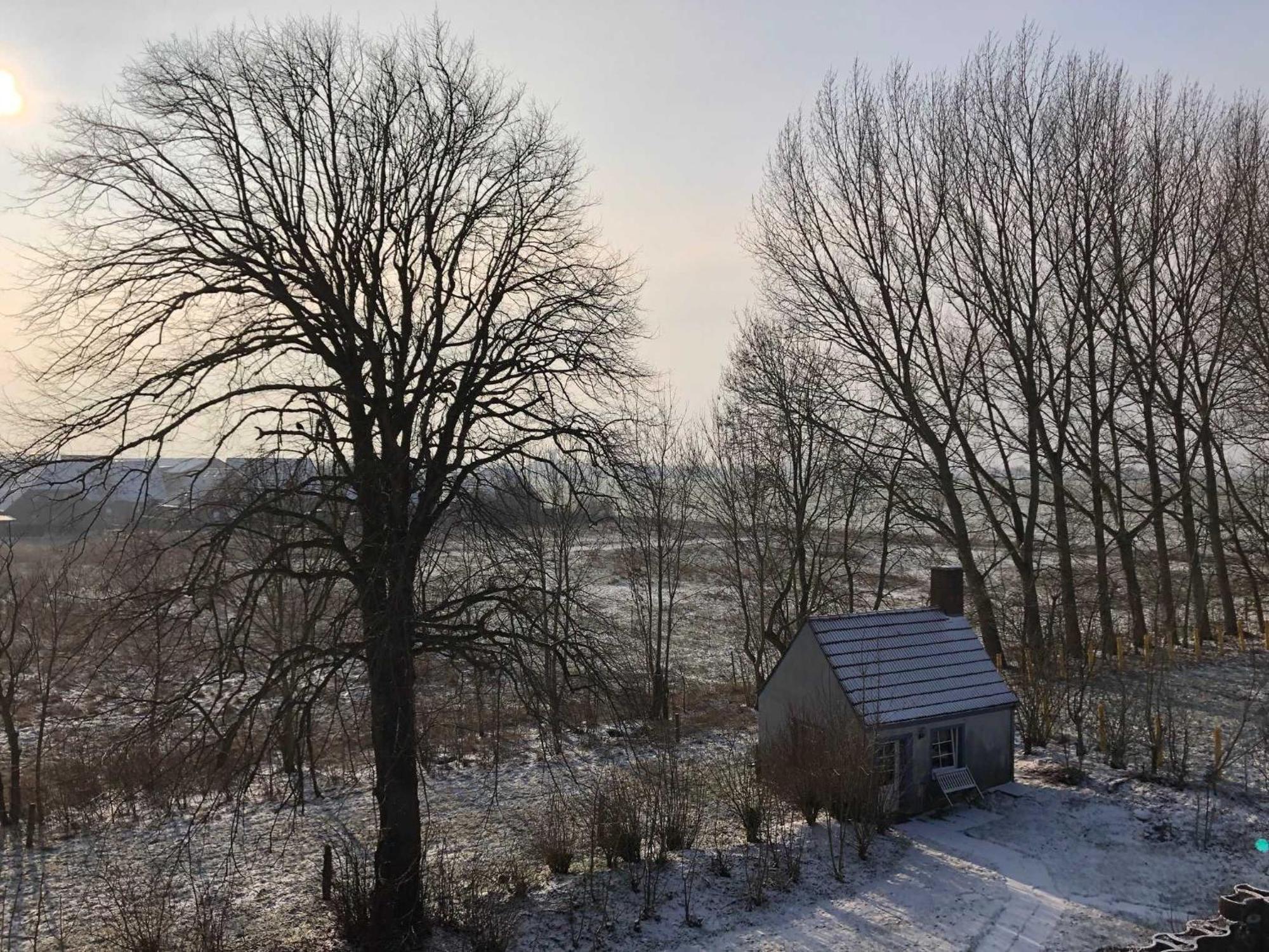 カロリーネンジール Gulfhof Friedrichsgrodenヴィラ エクステリア 写真