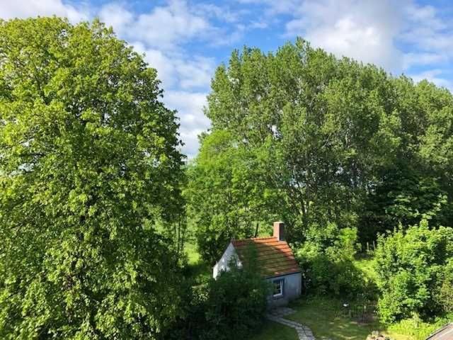 カロリーネンジール Gulfhof Friedrichsgrodenヴィラ エクステリア 写真